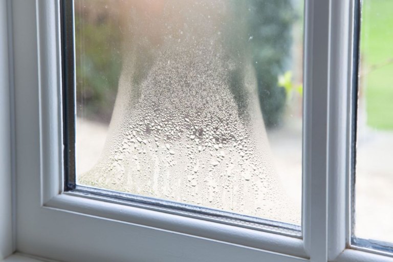 8 Signs It's Time to Replace Your Windows