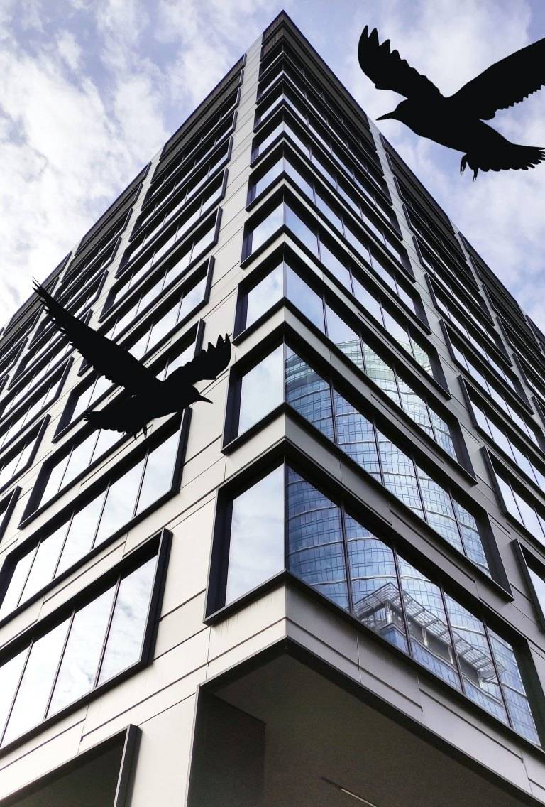 bird friendly glazing