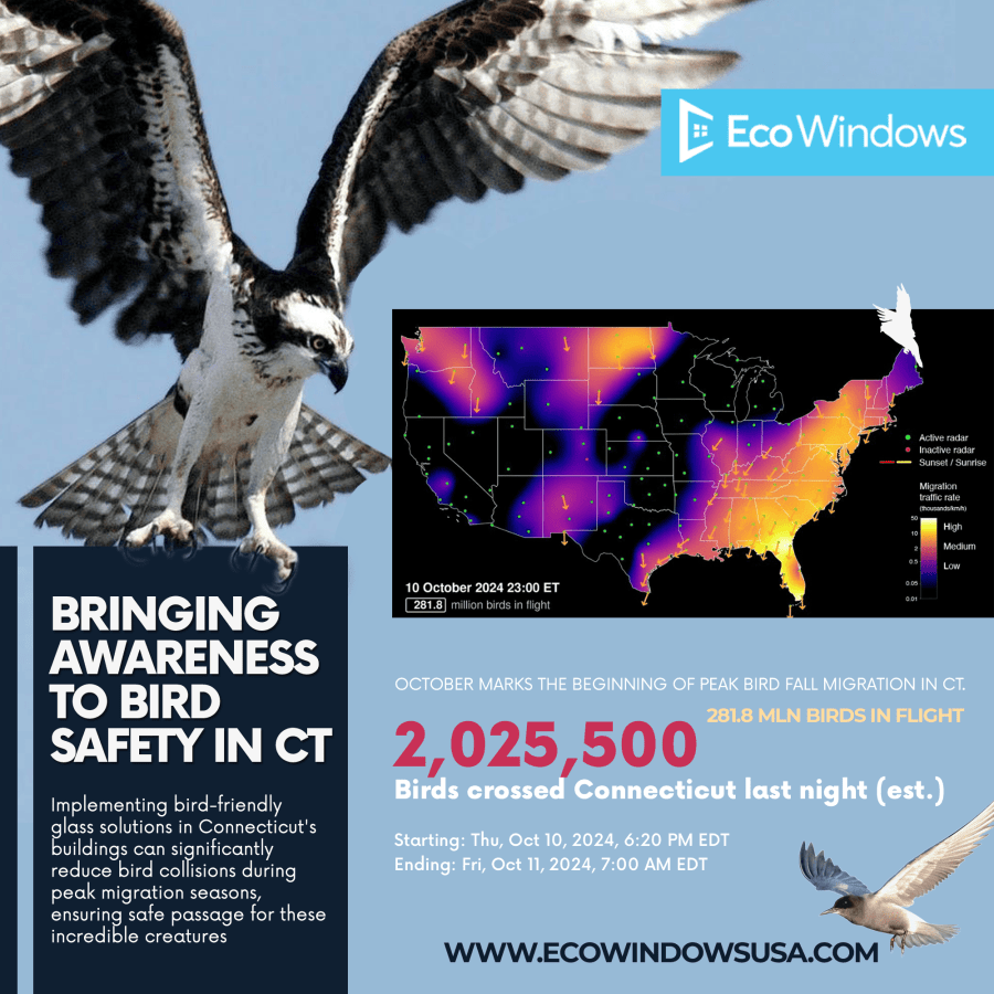 EcoWindows bird-friendly glass