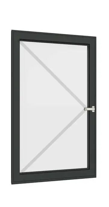 Swing Doors