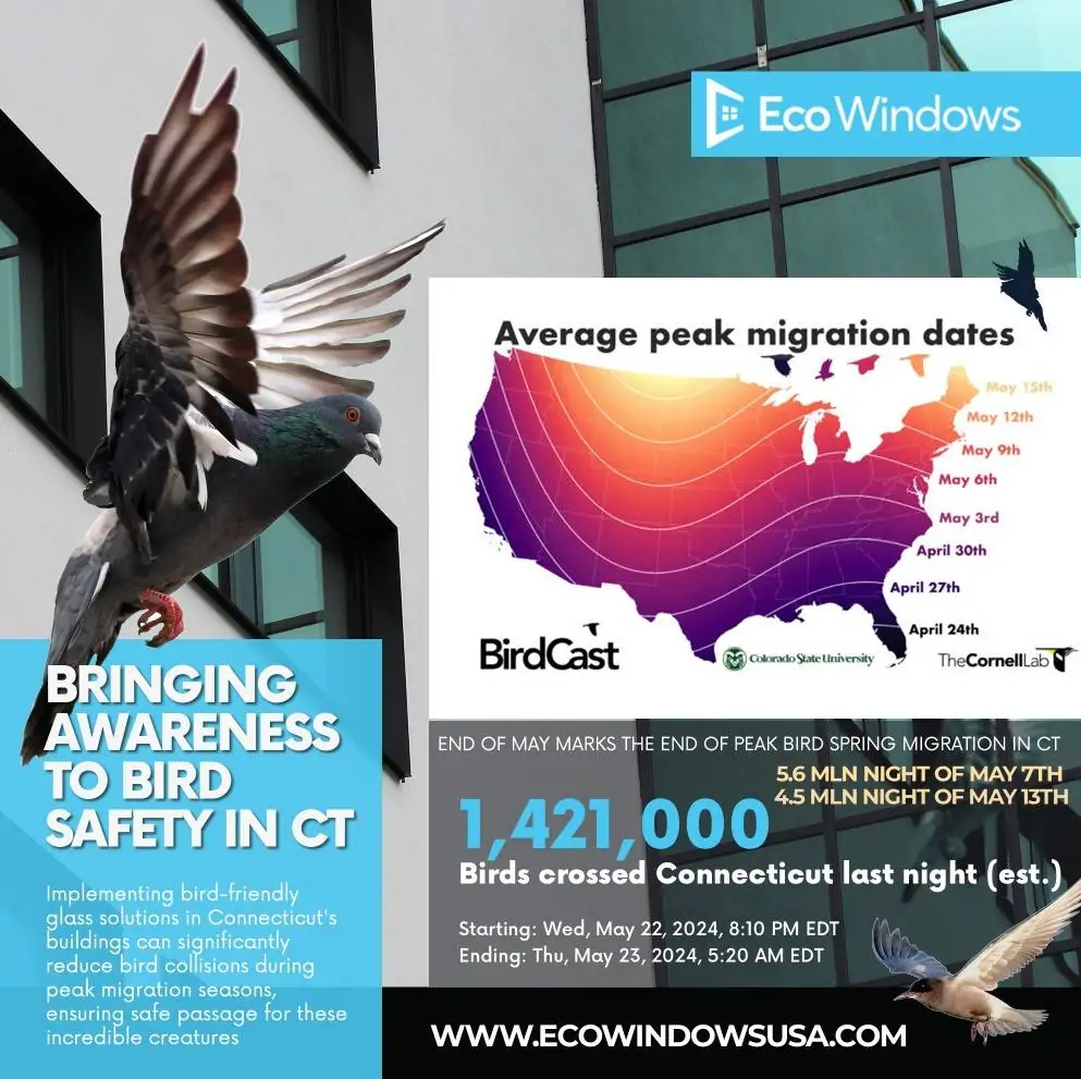 Bird Friendly Glass