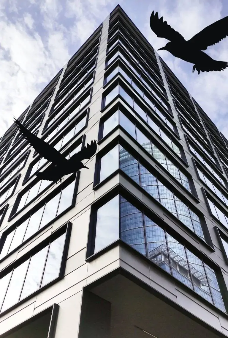 bird friendly glazing